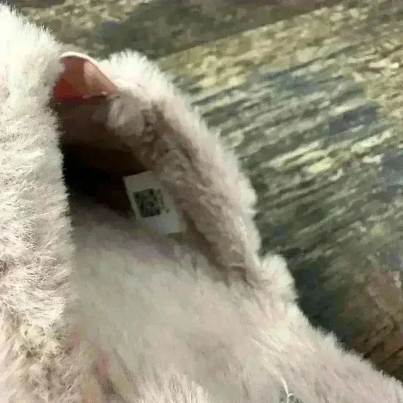 Toms Women’s Slippers Pink Fur Size 10 - Picture 5 of 6